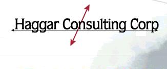 Haggar Consulting Corp, biiling software, credit card processing, authorization, credit card, gateway, payment, recuring, recurring, online processing, internet billing, validation, fraud protection, detection, fraud, web payment, electronic, adult processing, membership processing, membership billing, creadit card service, ic card, iccard, card gate, cardgate
